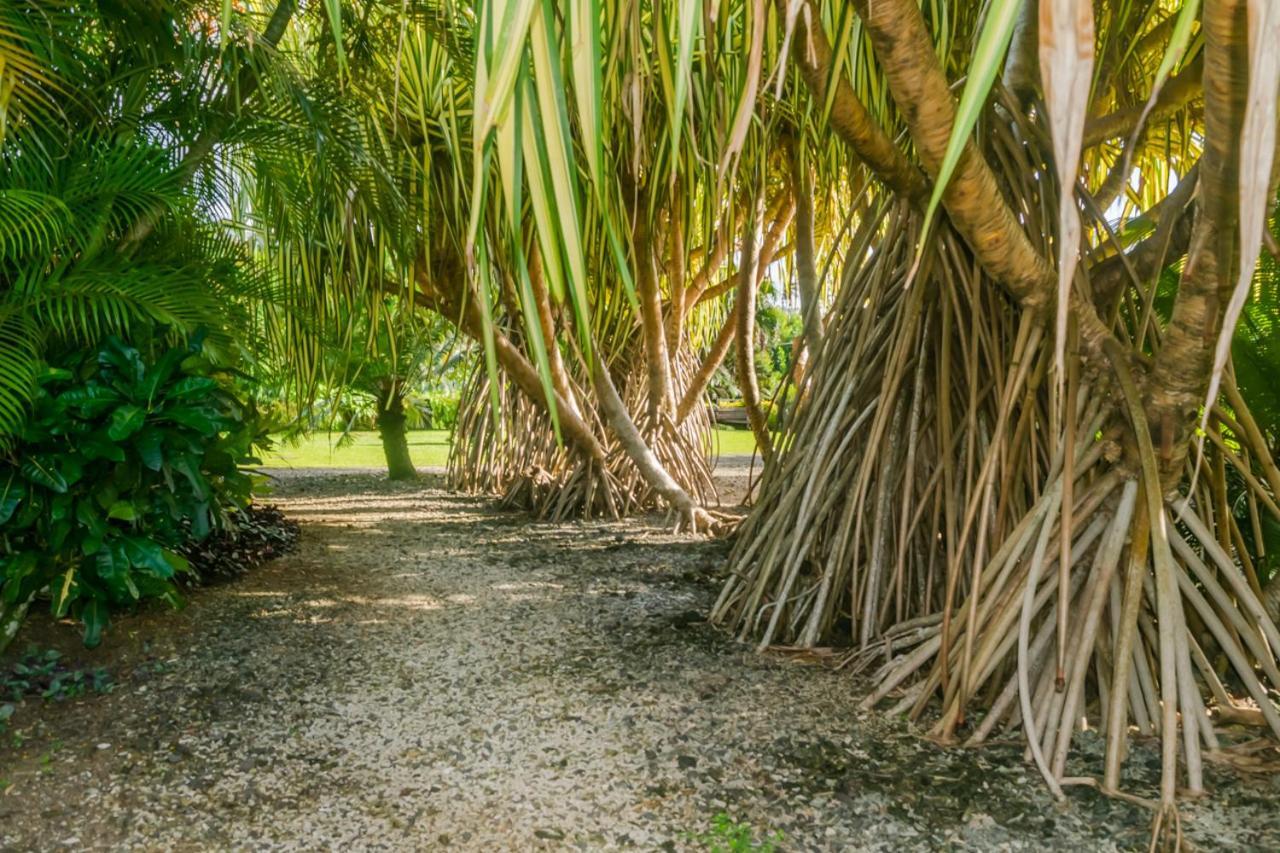 Aroha Taveuni Beachfront Bures Waiyevo Екстер'єр фото